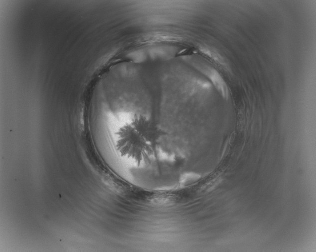 X0000074030358200609181932