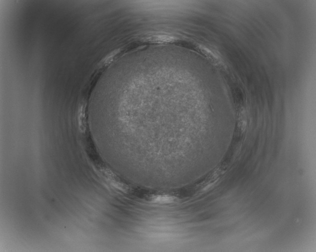 X0000074030360200609181932