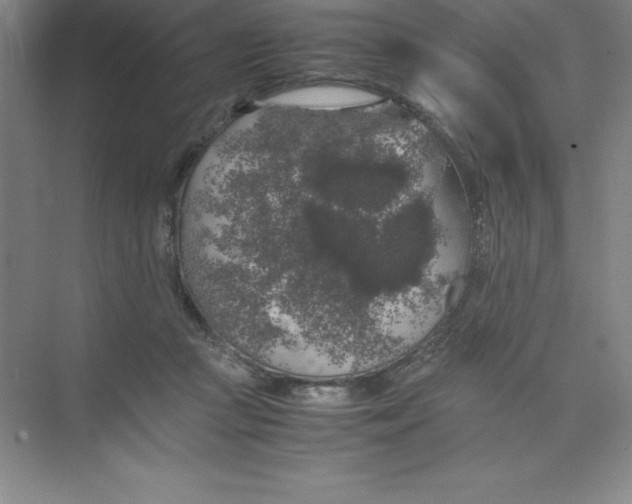 X0000074030361200609181933