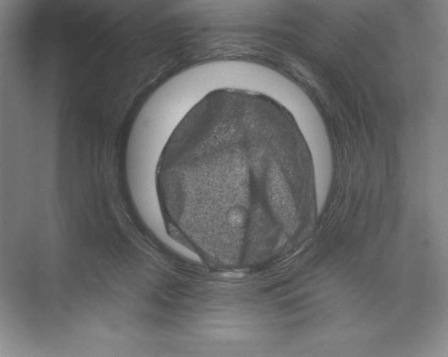 X0000074030362200609181933