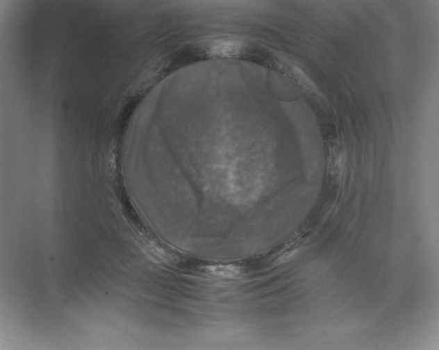 X0000074030363200609181933