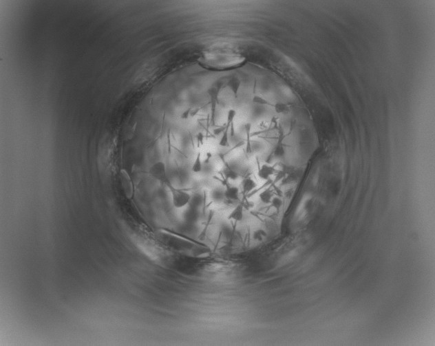 X0000074030364200609181933