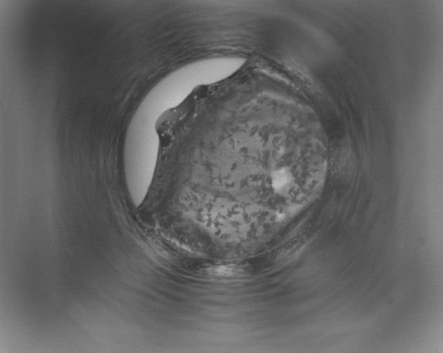 X0000074030365200609181933