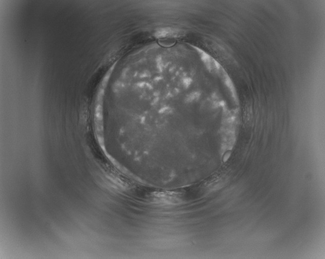 X0000074030367200609181933