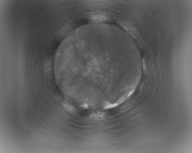 X0000074030369200609181933