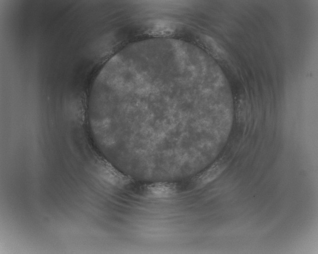 X0000074030370200609181933