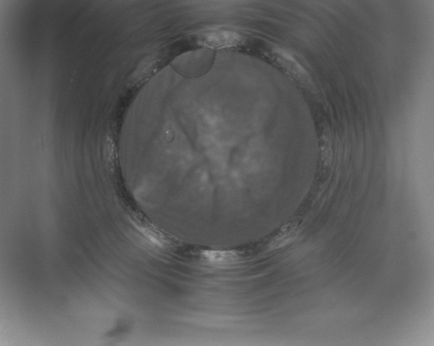 X0000074030371200609181933