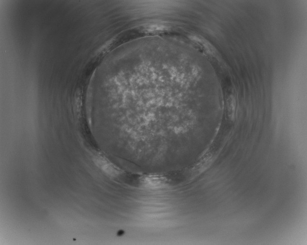 X0000074030372200609181933