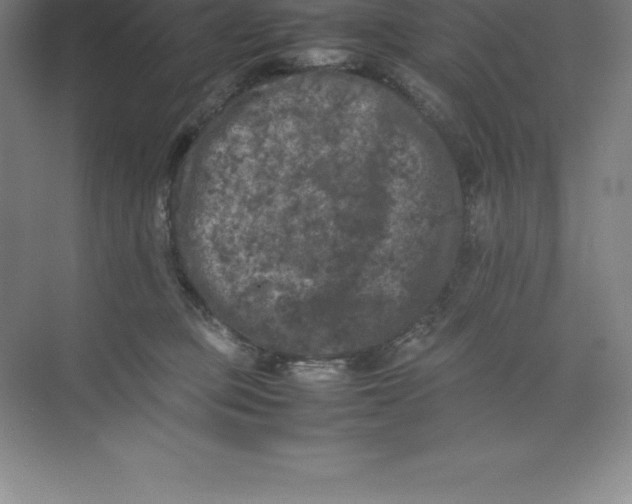 X0000074030373200609181933