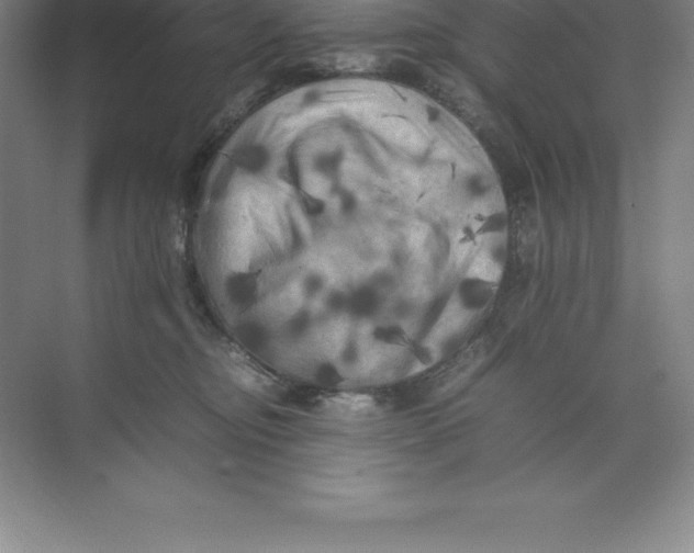 X0000074030374200609181933