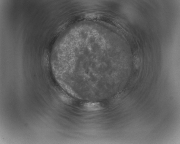 X0000074030375200609181933