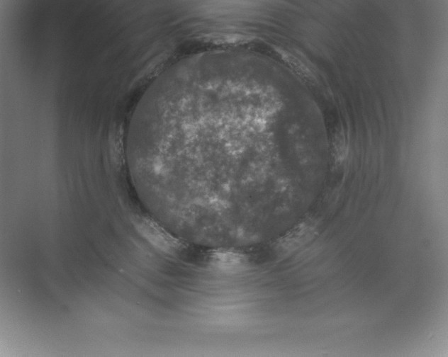 X0000074030376200609181933