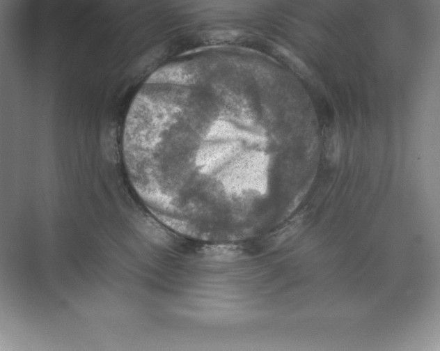 X0000074030378200609181933