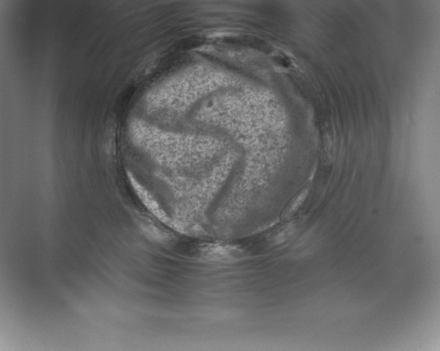 X0000074030379200609181933