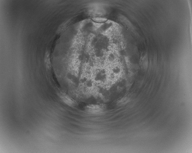 X0000074030381200609181933