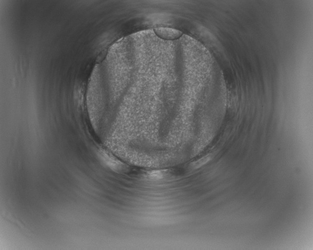 X0000074030382200609181933