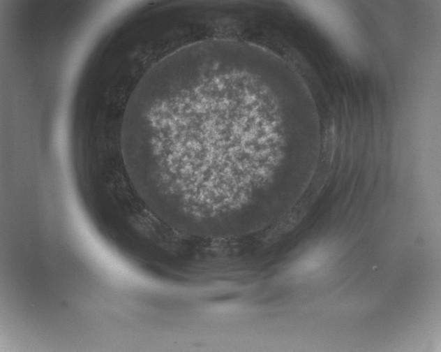 X0000074030383200609181933