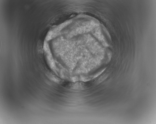 X0000074030384200609181933