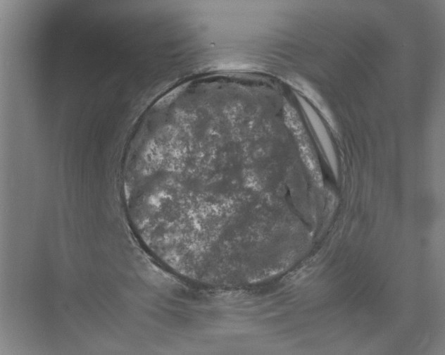 X0000074030385200609181932