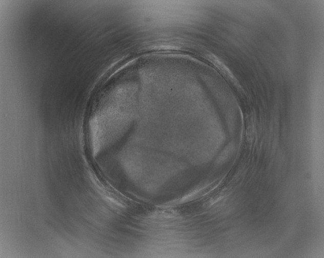 X0000074030386200609181932