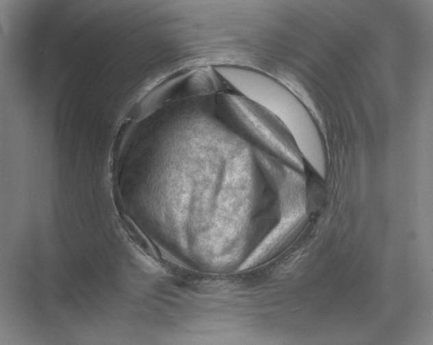 X0000074030389200609181932