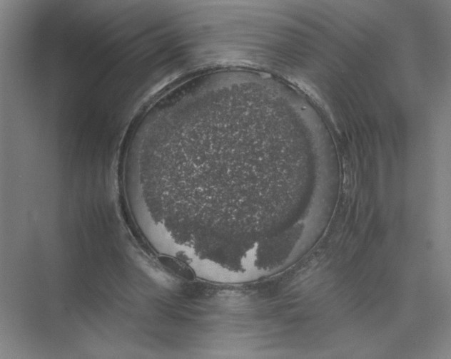 X0000074030390200609181932