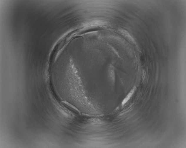 X0000074030392200609181932