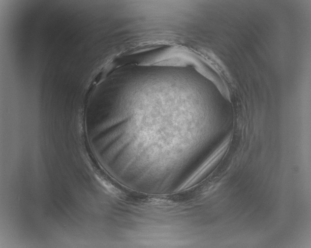 X0000074030393200609181932