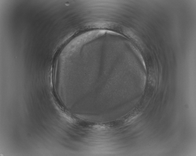 X0000074030394200609181932