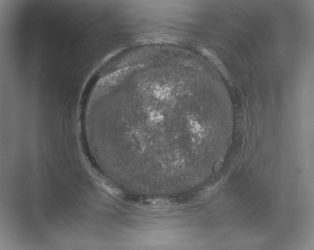 X0000074030395200609181932