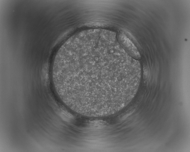 X0000074030396200609181932