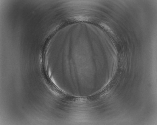 X0000074030398200609181932