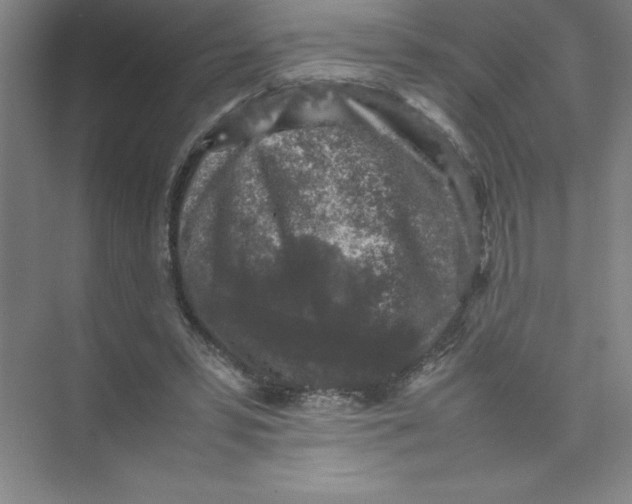 X0000074030399200609181932