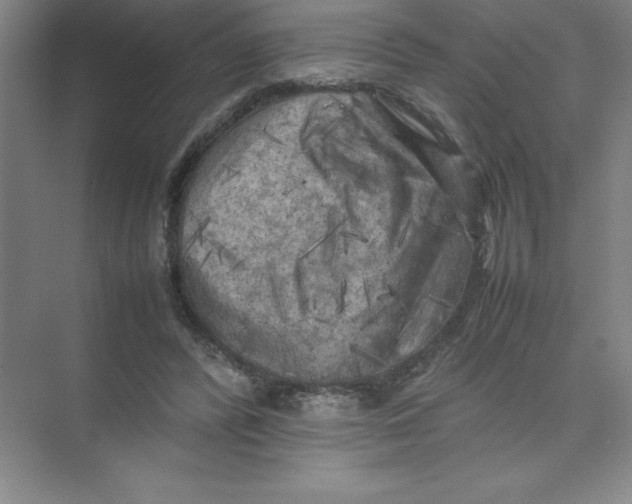 X0000074030400200609181932