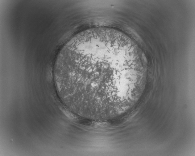 X0000074030401200609181932