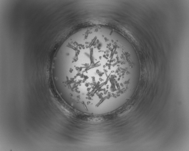 X0000074030402200609181932