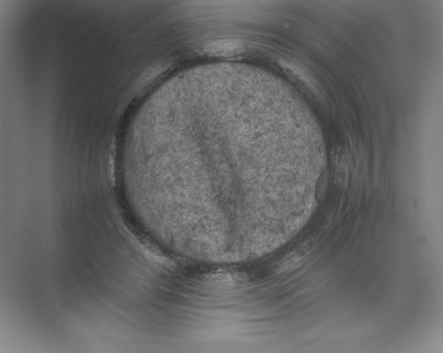 X0000074030404200609181932