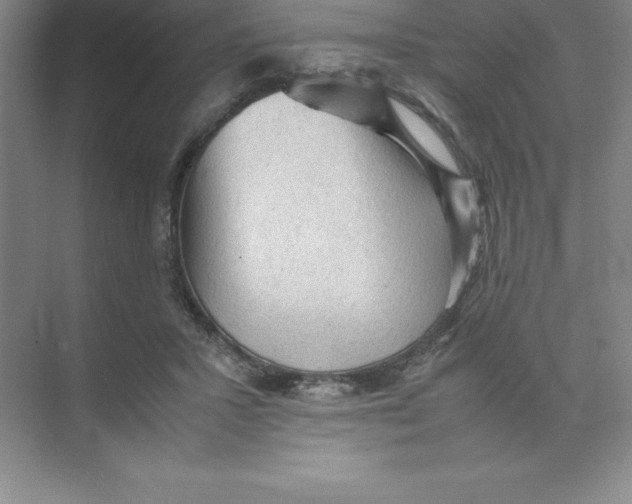 X0000074030407200609181932