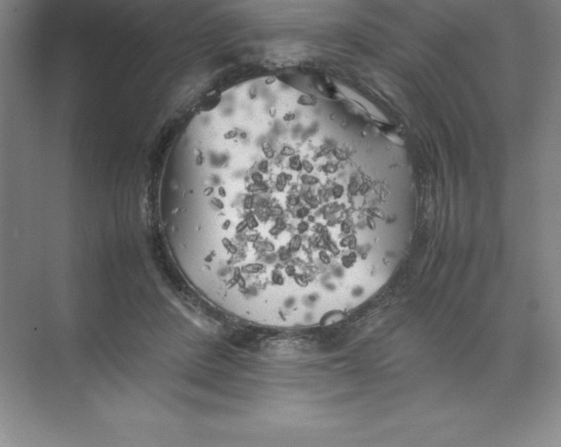 X0000074030408200609181932