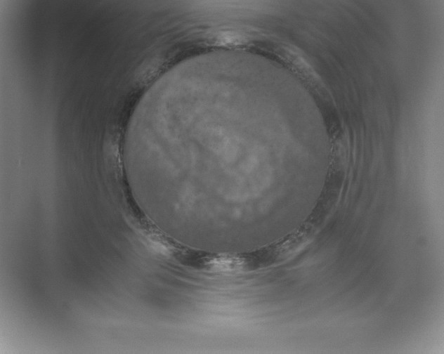 X0000074030415200609181932