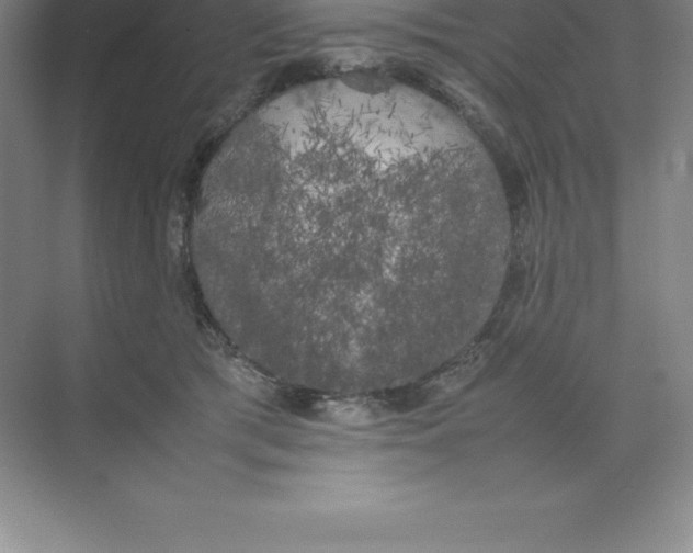 X0000074030417200609181932