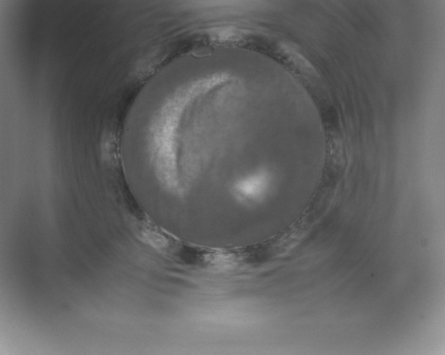 X0000074030419200609181932