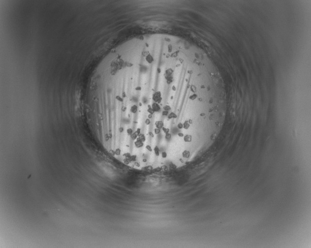 X0000074030420200609181932