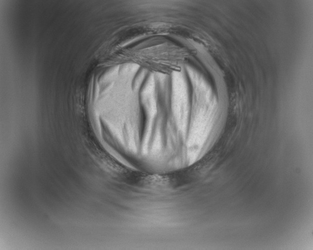 X0000074030421200609181931