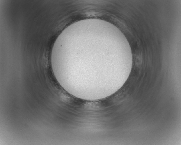 X0000074030422200609181931