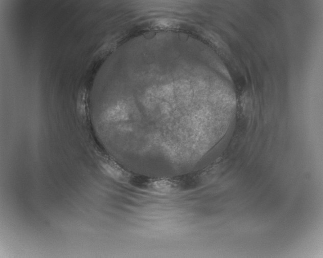 X0000074030423200609181931