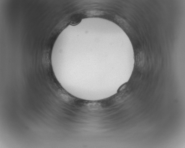 X0000074030426200609181931