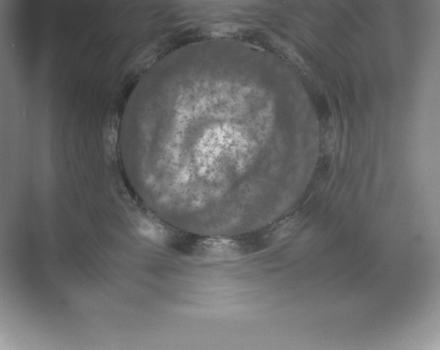 X0000074030427200609181931