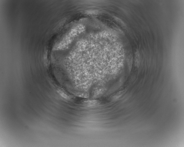 X0000074030428200609181931