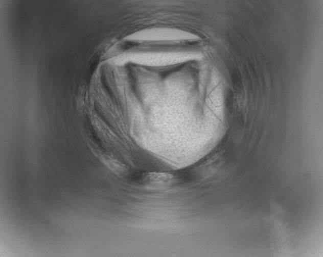 X0000074030429200609181931